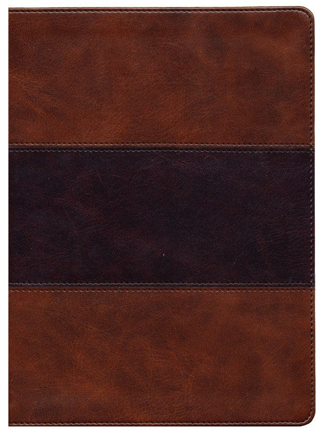 Holman KJV Study BIble (Saddle brown LeatherTouch)